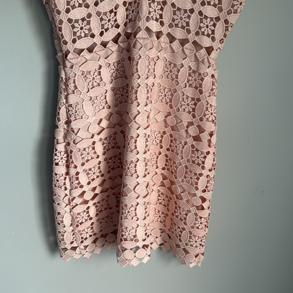 Sandro Paris Manureva Pink Lace Dress 6 - Picture 8 of 15